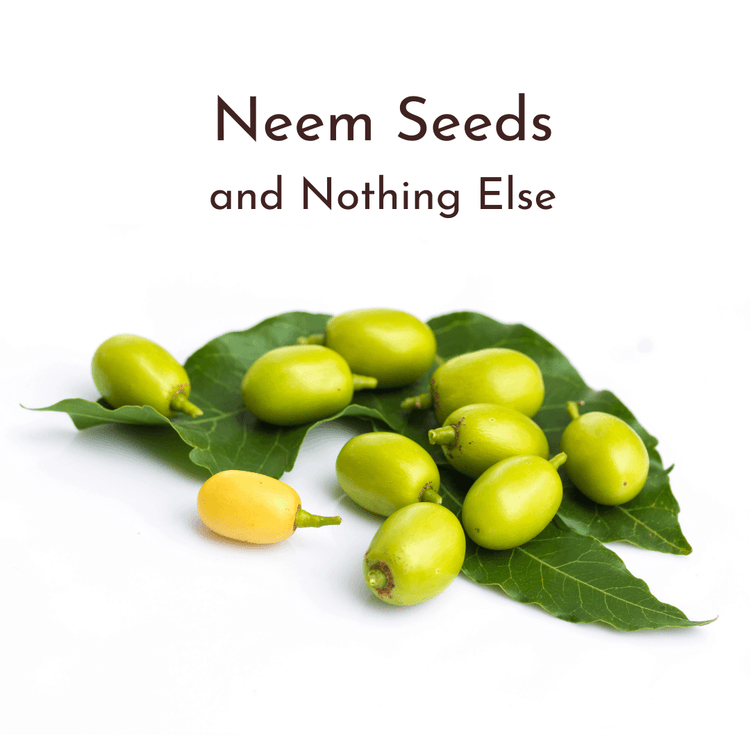 Virgin Neem Oil freeshipping - Kold_PurePress